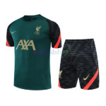 Camiseta Entrenamiento Liverpool 2022/23 Kit Verde