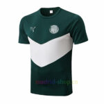 Camiseta Entrenamiento Palmeiras 2022/23 Kit Verde Top
