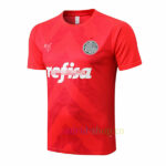Camiseta Entrenamiento Palmeiras 2022/23 Kit Rojo Top