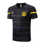 Camiseta Entrenamiento Borussia Dortmund 2022/23 Gris Kit Top