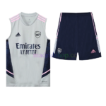 Camiseta Entrenamiento Arsenal 2022/23 Sin Mangas Kit Gris