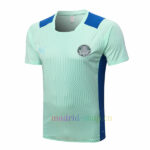 Camiseta Entrenamiento Palmeiras 2022/23 Kit Verde3 Top