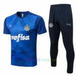 Camiseta Entrenamiento Palmeiras 2022/23 Kit Azul