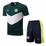 Camiseta de Entrenamiento Palmeiras 2022/23 Kit Verde