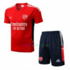 Camiseta de Entrenamiento Palmeiras 2022/23 Kit | madrid-shop.cn 5
