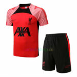 Camiseta Entrenamiento Liverpool 2022/23 Kit Rojo