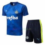 Camiseta de Entrenamiento Palmeiras 2022/23 Kit Azul