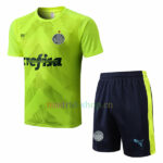 Camiseta de Entrenamiento Palmeiras 2022/23 Kit Verde2