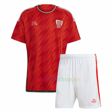 Camiseta Gales Primera Equipación 2022 Niño | madrid-shop.cn