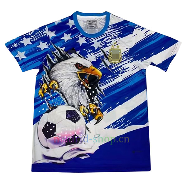 Camiseta Argentina Conmemorativa 2022/23 | madrid-shop.cn