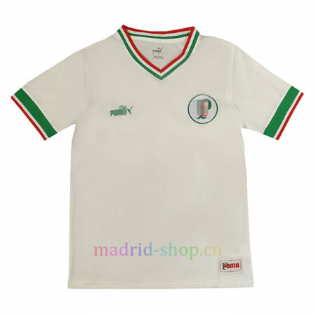 Camiseta Palmeiras 70 años Copa Río | madrid-shop.cn