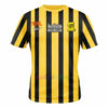 Camiseta AIK 132 Aniversario 2023/24 | madrid-shop.cn 4