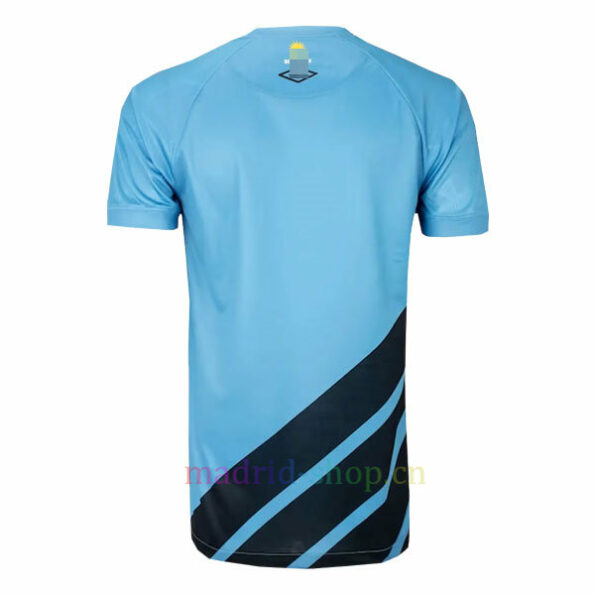 Camisa Alternativa Paranaense 2023-24