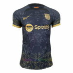 Camiseta Barça Gris 2023/24 Edición Especial Versión Jugador