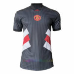 Camiseta Portero Manchester United Icons 2023/24 Versión Jugador