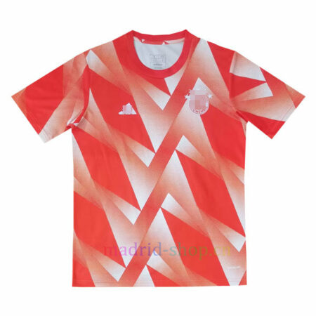 Camiseta Bayern Pre Partidos 2023 24