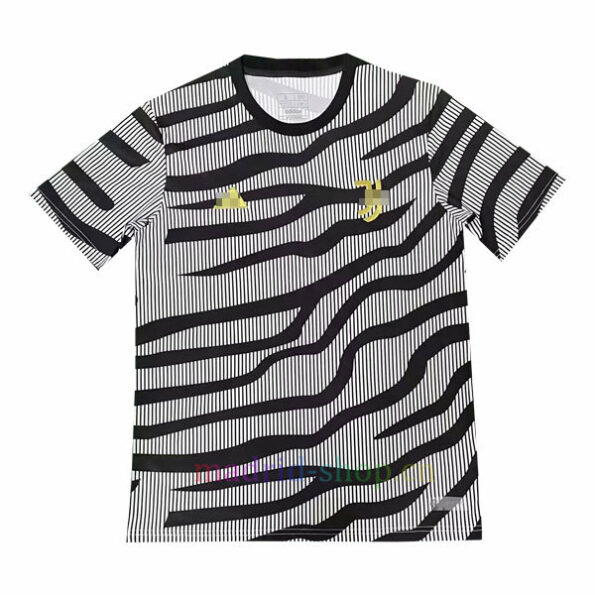 Camiseta Entrenamiento de Juventus 2023-24 Gris