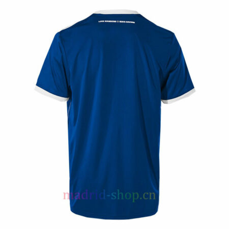 Camiseta Hamburgo SV 2023-24 Versión Conceptual