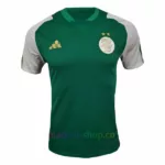 Camiseta Argelia 2023-24 Versión Jugador verde&blanco