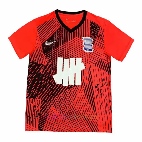 Camiseta Birmingham City Segunda Equipación 2023-24