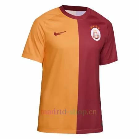 Camisetas Galatasaray
