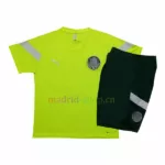 Palmeiras Training Shirt 2023-24 Kit