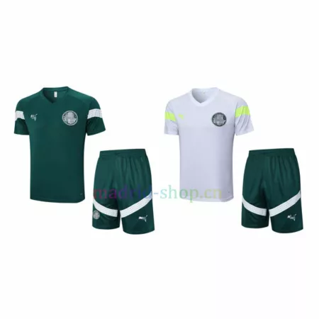 Camiseta de Entrenamiento Palmeiras 2023-24 Kit