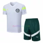 Camiseta de Entrenamiento Palmeiras 2023-24 Kit verde blanco