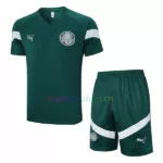 Camiseta de Entrenamiento Palmeiras 2023-24 Kit verde1