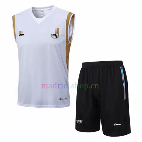 Camiseta de Entrenamiento Real Madrid 2023-24 Kit Sin Mangas