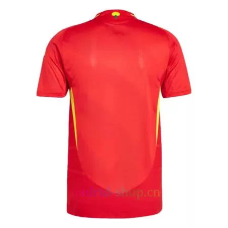 Camiseta España Primera Equipación 2024 Euro Versión Jugador