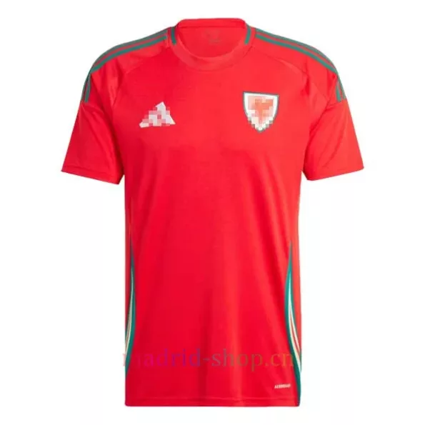 Camiseta Gales Primera Equipación 2024