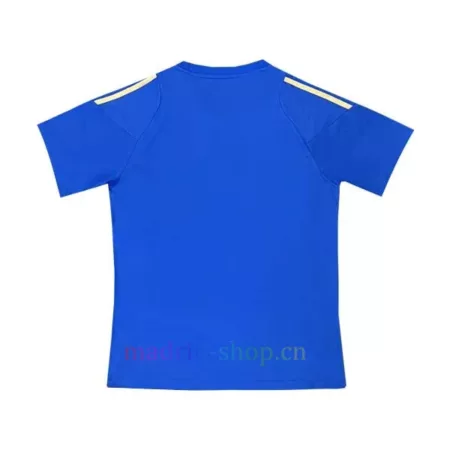 Camiseta Argentina Spark Gen10s 2024 Azul