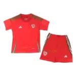 Camiseta Gales Primera Equipación 2024 Niño