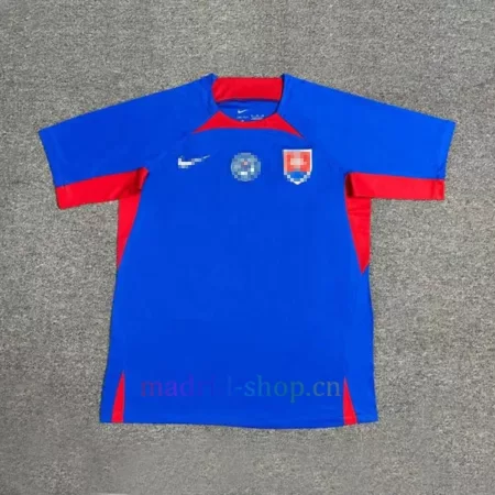 Camiseta Eslovaquia Primera Equipación 2024
