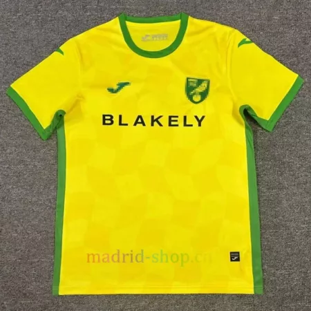 Camisetas Norwich City